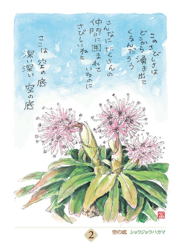 画像2: 2027年万年 星野富弘 31枚の詩画日めくり どうしても必要なものはただひとつカレンダー (2)