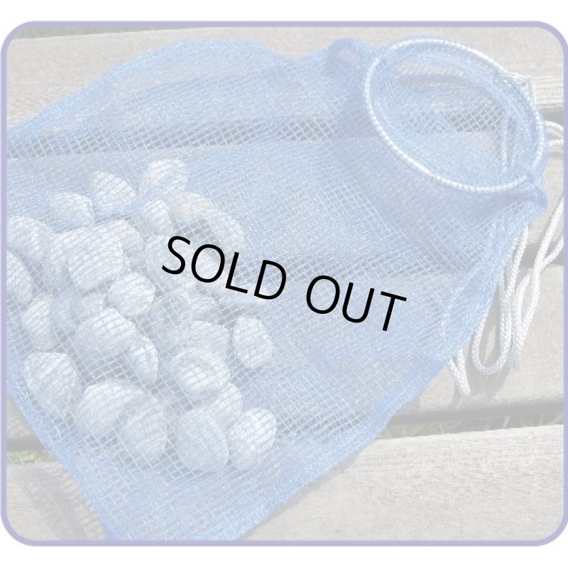 画像2: 貝採り名人 (2)