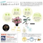 画像3: 光触媒グリーンギフト「グラスツリー」 (インテリアグリーン,人工観葉植物,廊下,お店,新築祝い,開店祝い,記念日.ギフト) (3)