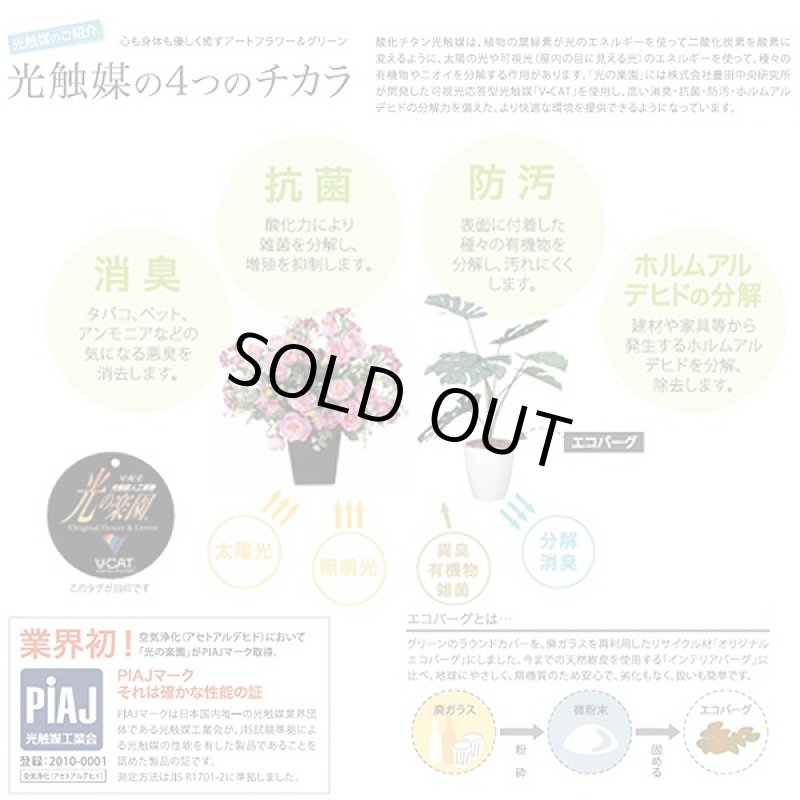 画像3: 光触媒グリーンギフト「スプリットM」 (人工観葉植物,オフィス,エントランス,廊下,お店,新築祝い,開店祝い,記念日.ギフト) (3)