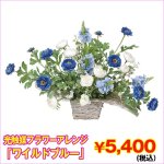 画像1: 光触媒フラワーアレンジ「ワイルドブルー」 ( インテリアフラワー,造花,人工観葉植物,新築祝い,開店祝い,記念日.ギフト) (1)