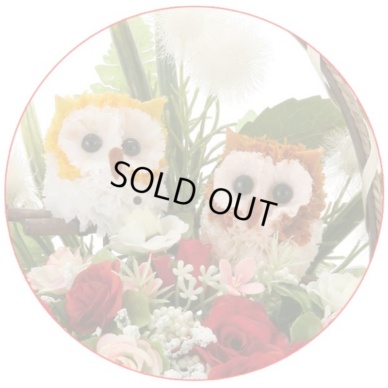 画像2: 光触媒フラワーアレンジ「ペアフクロウR」(花ギフト,全国発送,母の日,フラワーギフト,造花,空気浄化,抗菌,消臭,アートフラワー) (2)