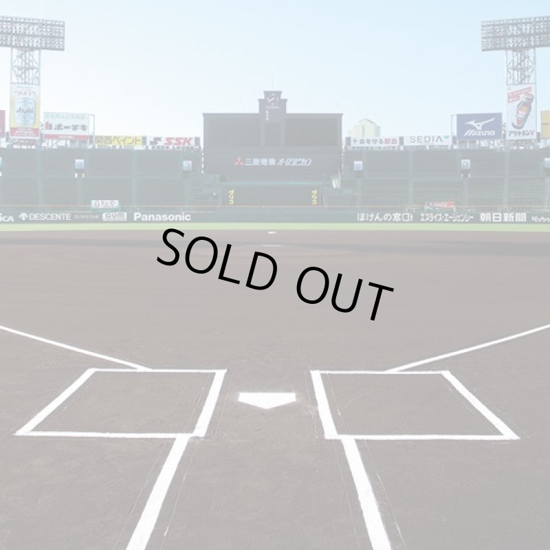 画像2: 阪神甲子園球場承認300ピースジグソーパズル「聖地甲子園球場」(フレームセット)(高校野球/球児/阪神タイガース/アップルワン) (2)