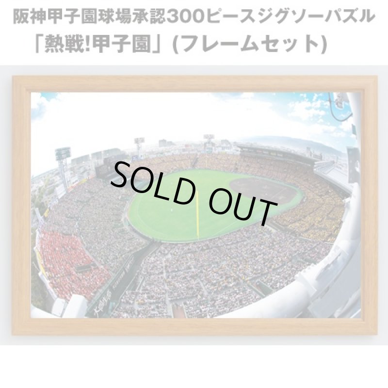 画像1: 阪神甲子園球場承認300ピースジグソーパズル「熱戦!甲子園」(フレームセット)（高校野球/球児/阪神タイガース/アップルワン） (1)