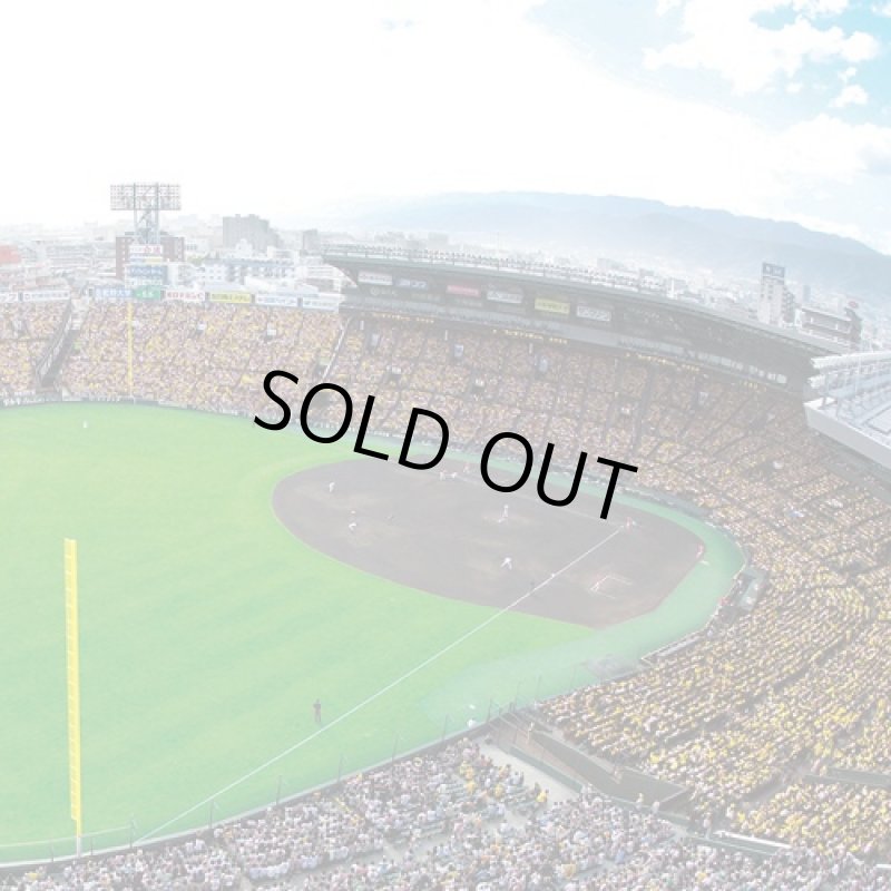 画像2: 阪神甲子園球場承認300ピースジグソーパズル「熱戦!甲子園」(フレームセット)(高校野球/球児/阪神タイガース/アップルワン) (2)