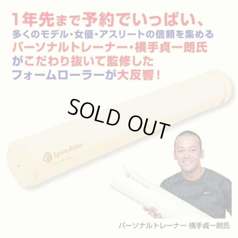 画像1: TVバイキングで紹介！スパインローラー（ストレッチ　ポール型/日本製/直径約14センチ/肩甲骨/監修指導パーソナルトレーナー横手貞一朗） (1)