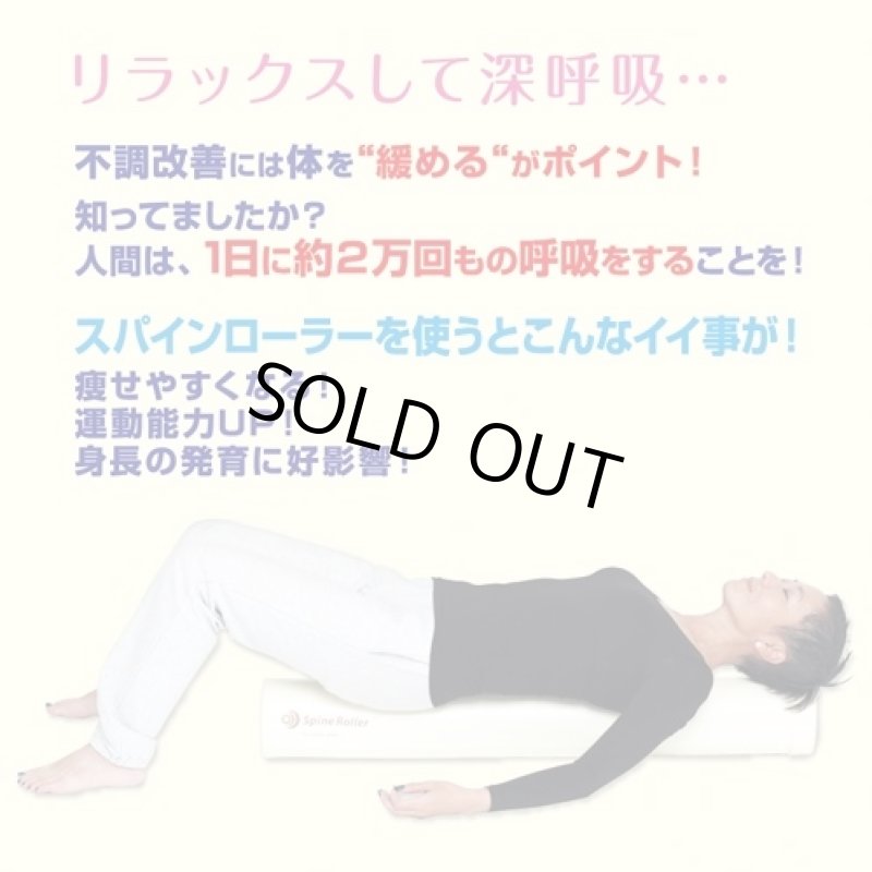 画像2: TVバイキングで紹介!スパインローラー(ストレッチ ポール型/日本製/直径約14センチ/肩甲骨/監修指導パーソナルトレーナー横手貞一朗) (2)