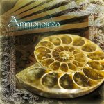 画像1: Ammonoidea〜アンモノイデア〜 (アンモナイト,開運,金運,開運祈願,金運アップ祈願,金運アイテム,超希少,原石タイプ) (1)