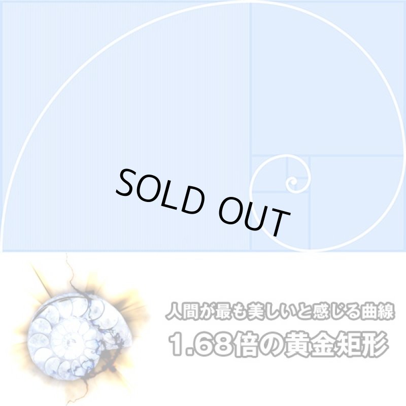 画像3: Ammonoidea〜アンモノイデア〜 (アンモナイト,開運,金運,開運祈願,金運アップ祈願,金運アイテム,超希少,原石タイプ) (3)