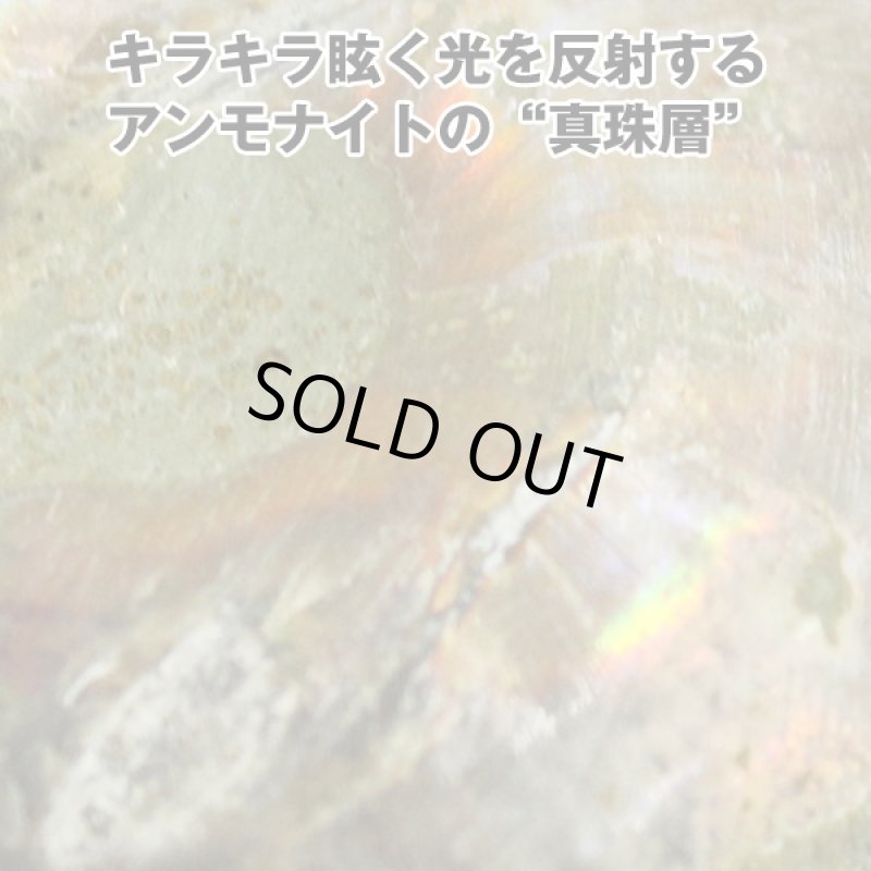 画像4: Ammonoidea〜アンモノイデア〜 (アンモナイト,開運,金運,開運祈願,金運アップ祈願,金運アイテム,超希少,原石タイプ) (4)