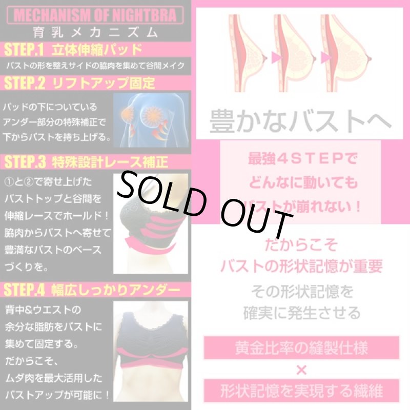 画像6: グラマドンナナイトアップブラ (就寝ブラ,ブラジャー,レース補正ナイトブラ,バストアップブラ,貧乳,,豊胸,) (6)