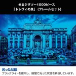 画像2: 光るジグソー1000P「トレヴィの泉/フレームセット」 (パズル,1000ピース,暗い場所で光る,イタリア,コインを投げ入れる) (2)