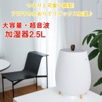 画像1: 大容量・超音波加湿器2.5L(加湿器,2.5L加湿器,超音波加湿,操作簡単加湿器,大容量加湿器,インテリア加湿器,) (1)