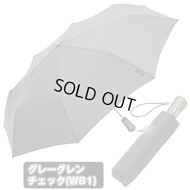 画像6: totes全自動開閉折畳み傘「タイタン60」(トーツ,TITAN,メンズ,60cm,ワンタッチ,耐強風豪雨対策,UVカット,撥水加工,軽量) (6)