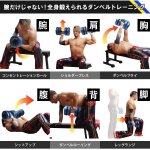 画像4: マッスルウォーターダンベルフルセット(プロレスリングノア,筋トレ,水の重さ,男女兼用,ウェイトトレーニング,最大15kg) (4)