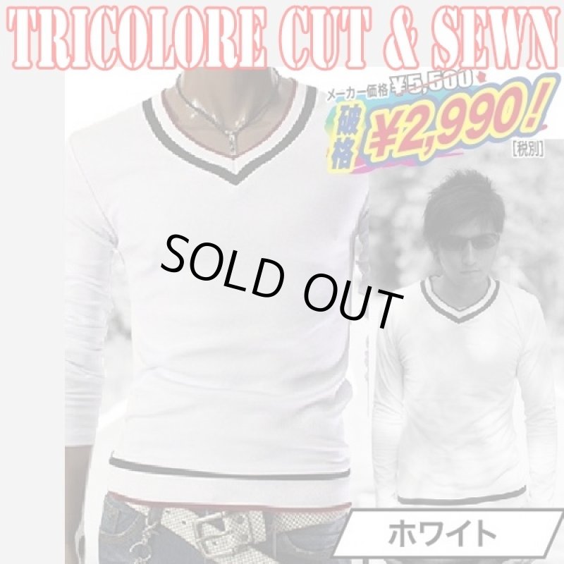 画像2: トリコラインVネック・スタイルカットソー(トリコラインVネックスタイルカットソー,フィット,DSC-GOO-016) (2)