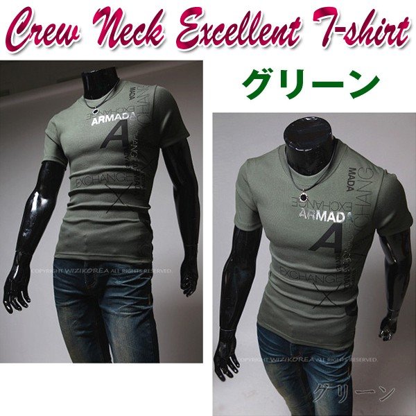 クルーネックエクセレントtシャツ メンズ 半袖 デザインプリントtシャツ 丸首 コットン ポリエステル ウェア Dsc G00 D07