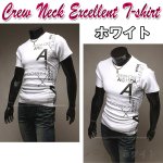 画像3: クルーネックエクセレントTシャツ(メンズ,半袖,デザインプリントTシャツ,丸首,コットン,ポリエステル,ウェア) (3)