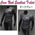 画像5: クルーネックエクセレントTシャツ(メンズ,半袖,デザインプリントTシャツ,丸首,コットン,ポリエステル,ウェア) (5)