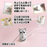 画像4: おねがいにゃんこオニキスペンダント(猫,,シルバー925,つぶらな瞳,可愛い子猫,手を合わせ,お願いポーズ,開運,開運祈願) (4)