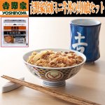 画像1: 吉野家冷凍ミニ牛丼の具10食セット (1)