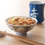 画像2: 吉野家冷凍ミニ牛丼の具10食セット (2)