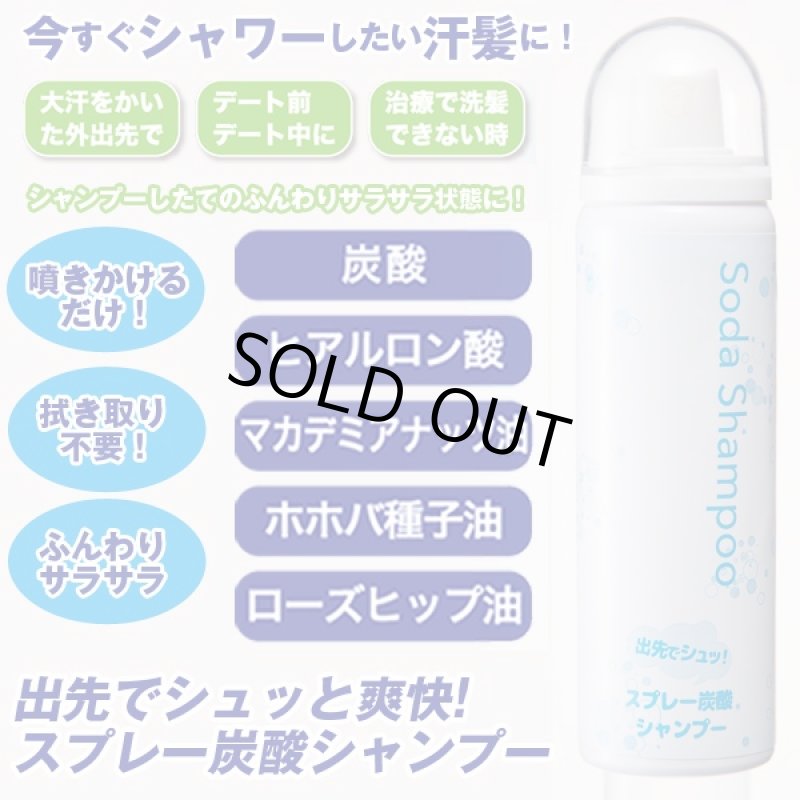 画像6: 出先でシュッと爽快!スプレー炭酸シャンプー (炭酸ヘッドスパ,噴きかけるだけ,洗髪,シャワー,サラサラヘアー,爽快,身だしなみ) (6)