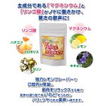 画像3: カラオケ用サプリ「ヴォイスメーカー」 (プロボイストレーナー推奨,歌が上手くなるサプリ,ボイスメーカー,カラオケ名人,タブレット) (3)