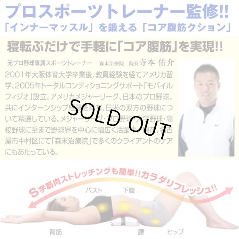 画像4: コアスリマー(インナーマッスルを鍛えるコア腹筋クッション/寝転ぶだけ/腹筋ダイエット) (4)