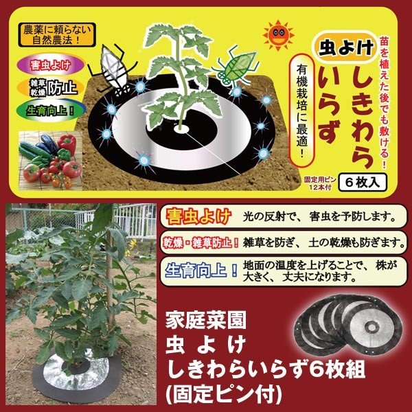 家庭菜園虫よけ しきわらいらず6枚組(固定ピン付) (アブラムシ,光の反射,防虫,園芸,苗,乾燥防止,雑草防止,生育向上)GOTO-57