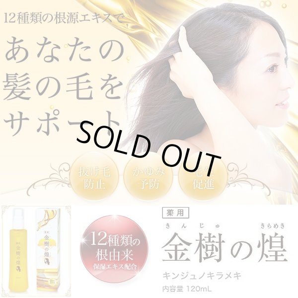 薬用育毛剤 金樹の煌き 医薬部外品 薬用毛生促進育毛剤 髪の悩み 薄毛 発毛 ゆずの香り抜け毛 髪のボリューム 髪の ハリ コシ フケ かゆみ 頭皮が固く Gr Knj 薬用育毛剤 金樹の煌き 医薬部外品 薬用毛生促進育毛剤 髪の悩み 薄毛 発毛 ゆずの香り抜け毛 髪のボリューム 髪の ハリ コシ フケ かゆみ 頭皮が固く Gr Knj