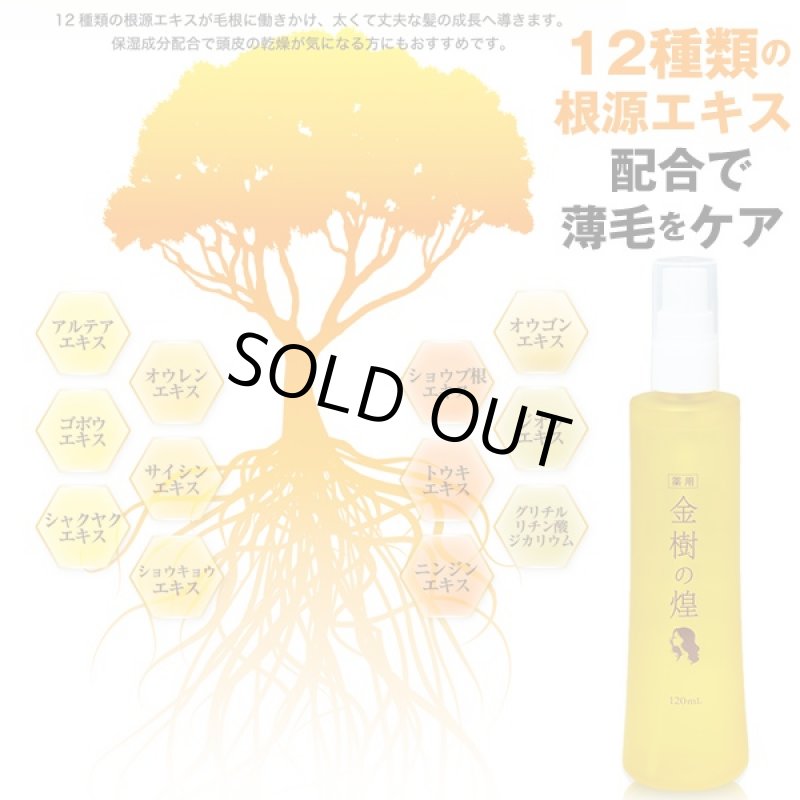 画像3: 薬用育毛剤「金樹の煌き」(医薬部外品,薬用毛生促進育毛剤,髪の悩み,薄毛,発毛,ゆずの香り抜け毛,髪のボリューム,髪のハリ・コシ,フケ・かゆみ,頭皮が固く) (3)