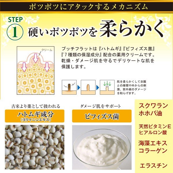 薬用プッチフラットクリーム 医薬部外品 ポツポツ イボ取り 薬用クリーム 目元 首 胸元 弱った肌 Gr Pfc