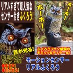 画像1: モーションセンサーリアルふくろう(フクロウ,目が光る,ソーラー充電,センサー,ソーラーパネル,動きに反応,庭,インテリア) (1)