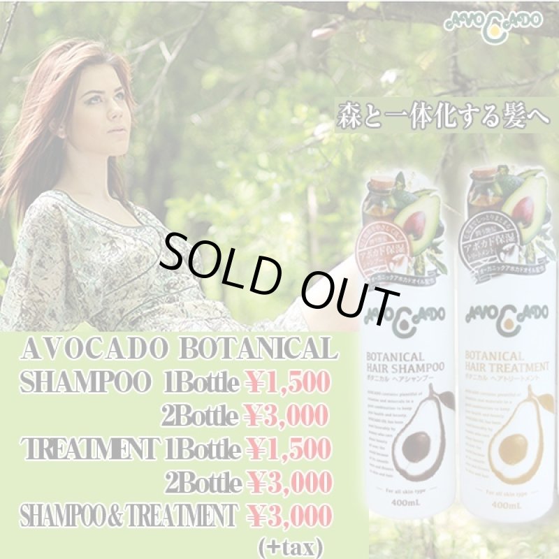 画像6: 送料無料アボカード「ボタニカルヘアトリートメント400ml」[2ボトル] (ヒアルロン酸,コラーゲン,天然植物,コエンザイムQ10,保湿) (6)