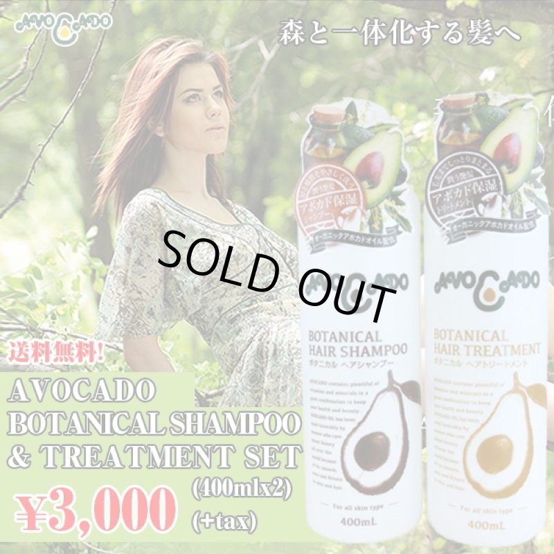 画像1: 送料無料アボカード「ボタニカル ヘアシャンプー400ml&ヘアトリートメント400ml」セット (日本製,天然植物,ハーブ,保湿,頭皮) (1)