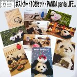 画像1: ポストカード10枚セット「PANDA　panda　LIFE...」 (パンダ,パンダフォト,大西亜由美さんデザイン,手紙,レター,可愛い,文房具) (1)