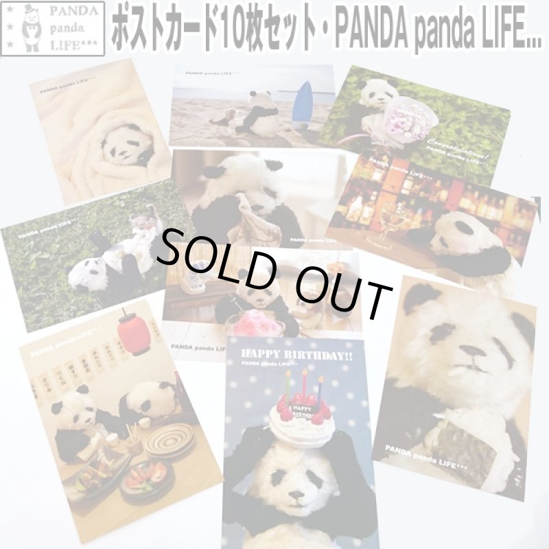 画像1: ポストカード10枚セット「PANDA　panda　LIFE...」 (パンダ,パンダフォト,大西亜由美さんデザイン,手紙,レター,可愛い,文房具) (1)
