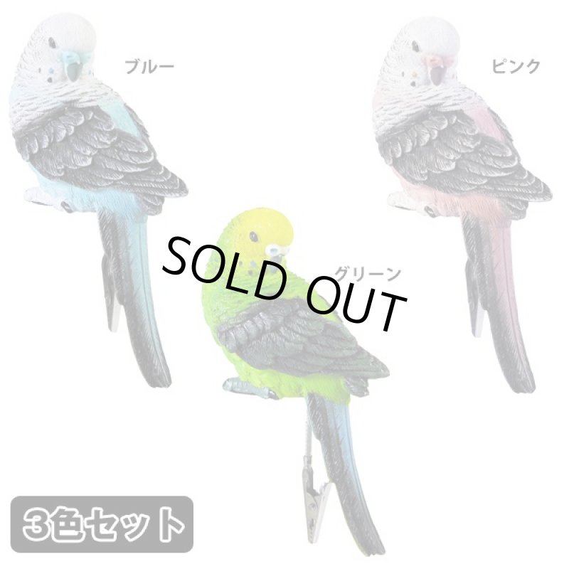 画像3: パラキートクリップ3色セット (インコ,鳥,ペーパークリック,リアル,ディスプレイ,保管,伝言,羽根,写真,ポストカード) (3)