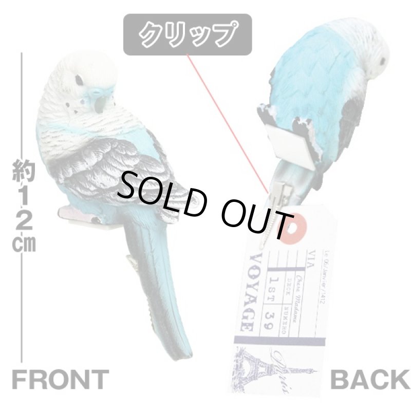 画像4: パラキートクリップ3色セット (インコ,鳥,ペーパークリック,リアル,ディスプレイ,保管,伝言,羽根,写真,ポストカード) (4)