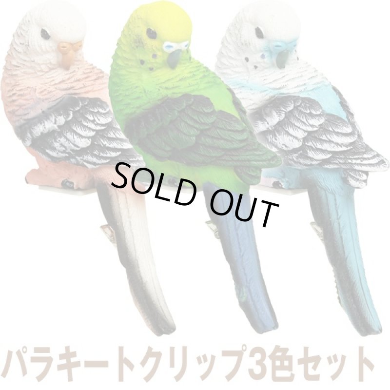 画像5: パラキートクリップ3色セット (インコ,鳥,ペーパークリック,リアル,ディスプレイ,保管,伝言,羽根,写真,ポストカード) (5)