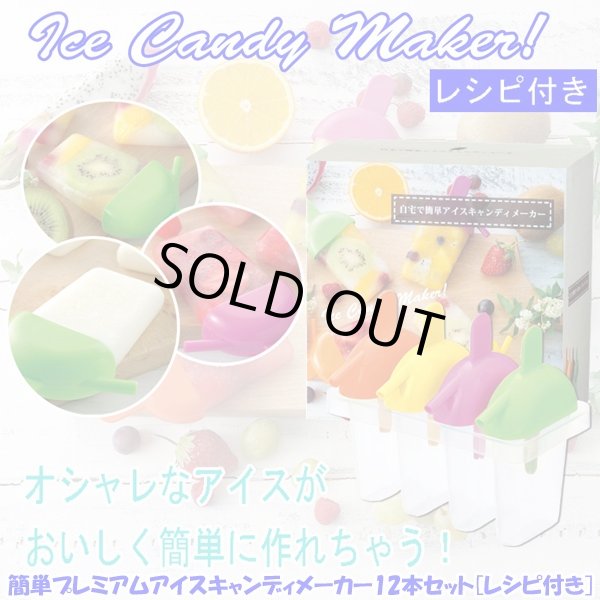 簡単プレミアムアイスキャンディメーカー12本セット レシピ付き アイスクリーム フルーツ ジュース Sns 自宅で簡単 おしゃれ Ito 100