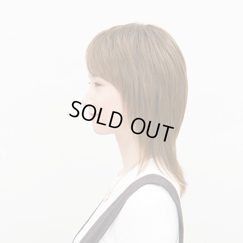 画像2: レディースウィッグ フレッシュレイヤー(ミルキーブラウン)(ファッションウィッグ,ラパンドアール,Lapin d'or) (2)