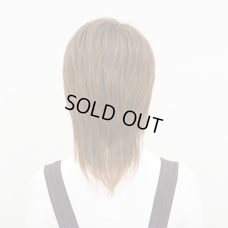 画像3: レディースウィッグ フレッシュレイヤー(ミルキーブラウン)(ファッションウィッグ,ラパンドアール,Lapin d'or) (3)