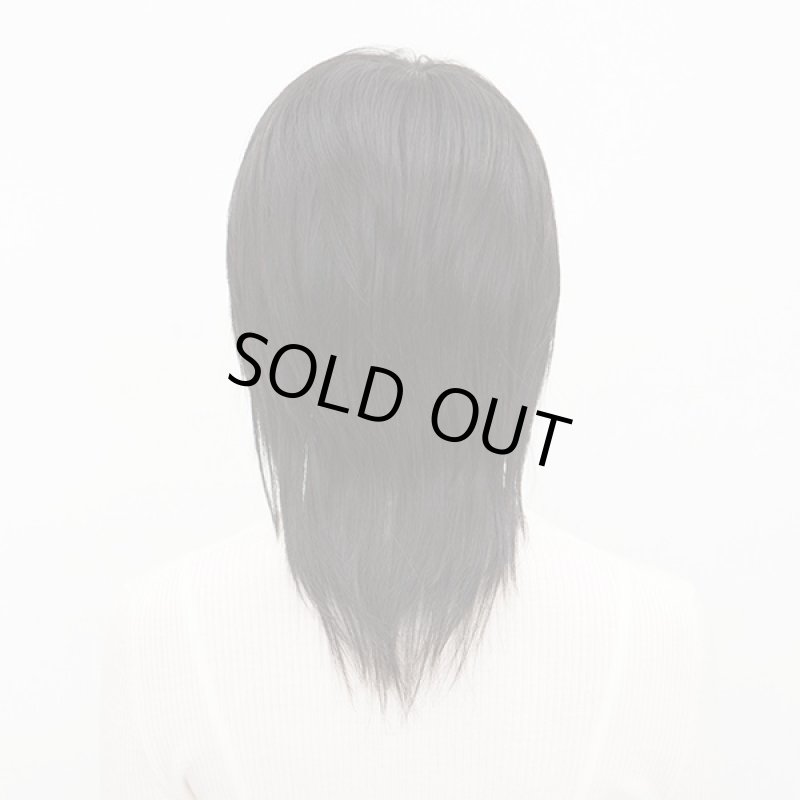 画像2: レディースウィッグ フレッシュレイヤー(スタンダートブラック)(フルウィッグ,ラパンドアール,イメージチェンジ) (2)