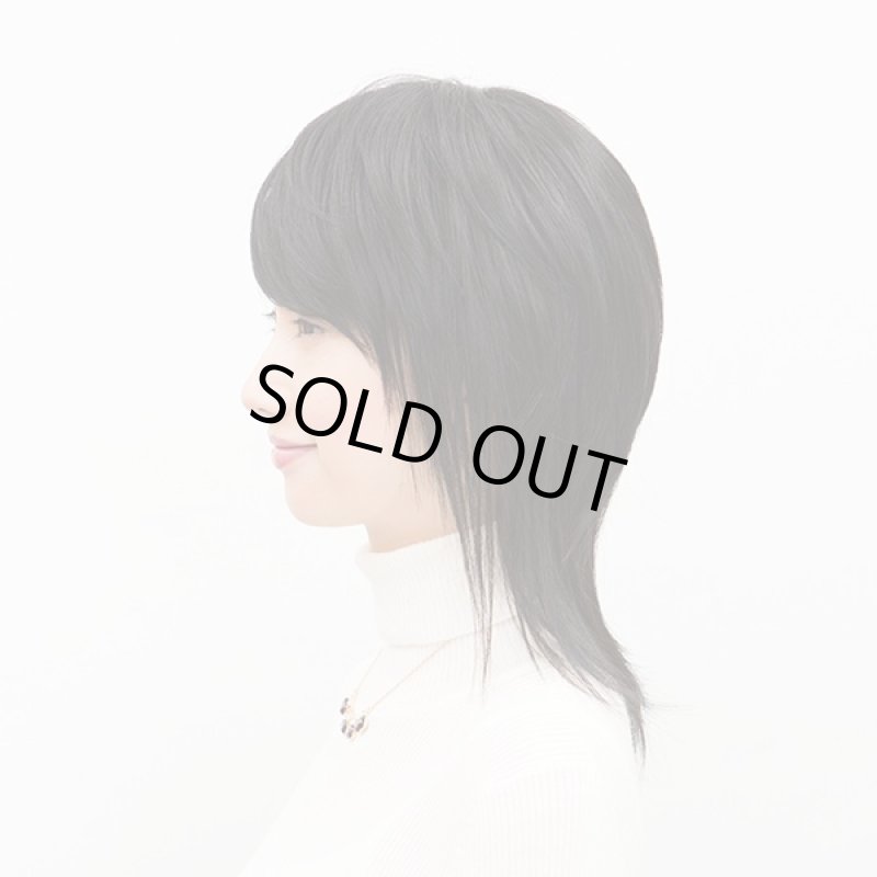 画像3: レディースウィッグ フレッシュレイヤー(スタンダートブラック)(フルウィッグ,ラパンドアール,イメージチェンジ) (3)