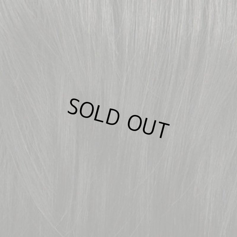 画像4: レディースウィッグ フレッシュレイヤー(スタンダートブラック)(フルウィッグ,ラパンドアール,イメージチェンジ) (4)