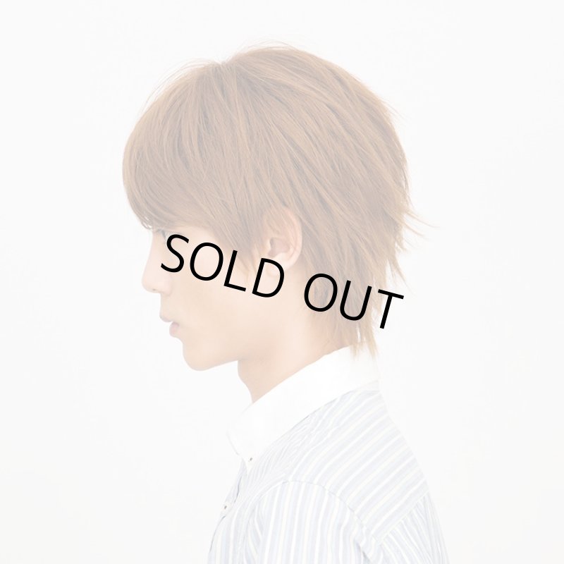 画像2: Lapin d'or Homme メンズウィッグ クラウドショート(ハニーブラウン)(ラパンドアール/フルウィッグ/髪/ヘアー/イメージチェンジ) (2)