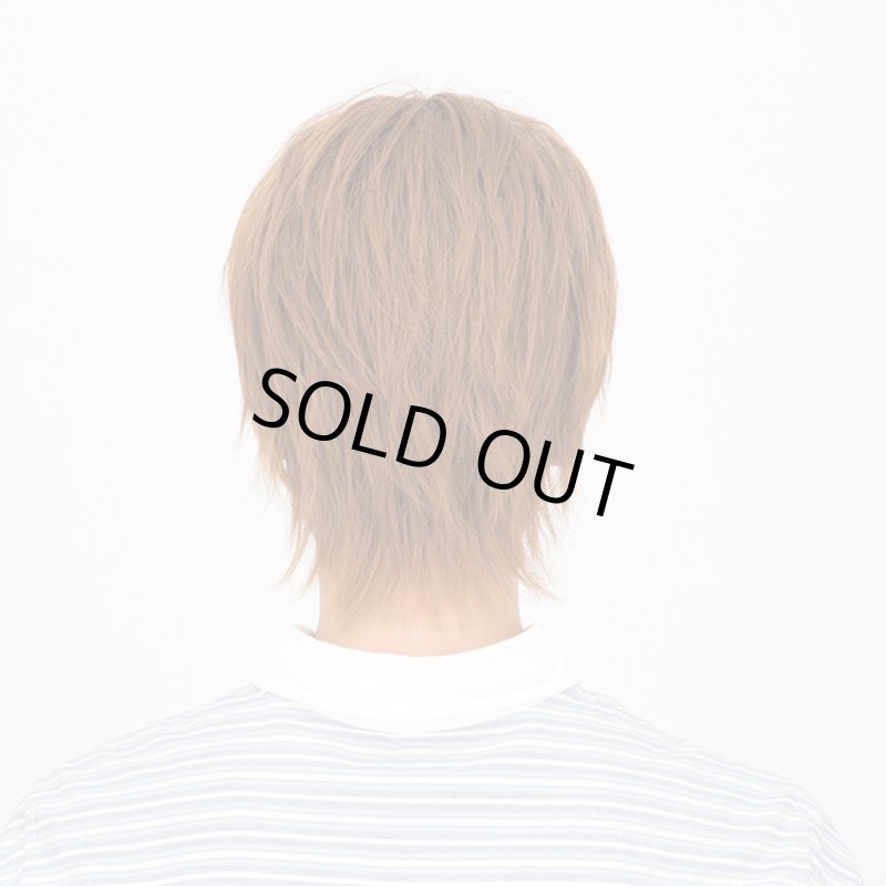 画像3: Lapin d'or Homme メンズウィッグ クラウドショート(ハニーブラウン)(ラパンドアール/フルウィッグ/髪/ヘアー/イメージチェンジ) (3)