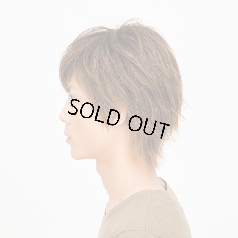 画像2: Lapin d'or Homme メンズウィッグ クラウドショート(ビターシナモンブレンド)(ラパンドアール/フルウィッグ/ヘアー/イメージチェンジ) (2)